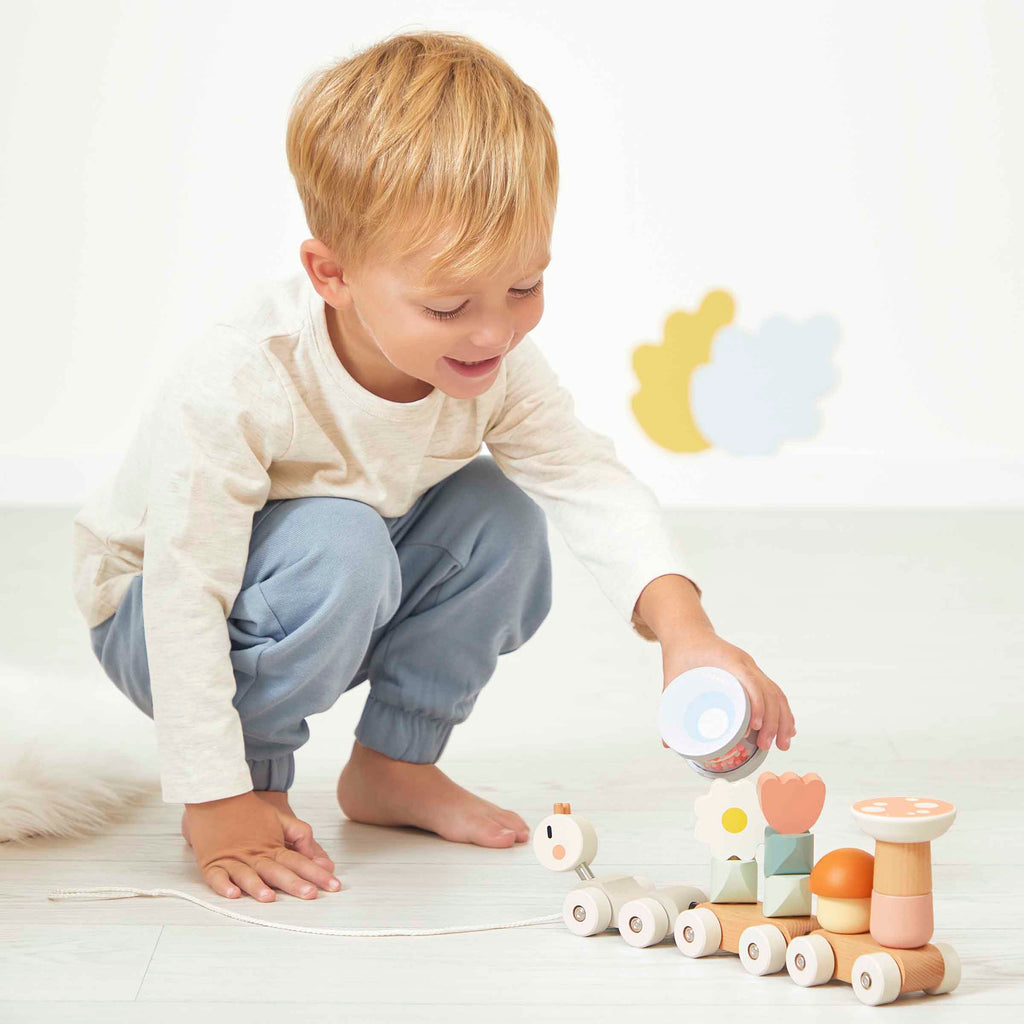 Wooden Pull-Along Train by Janod | Cotton Planet