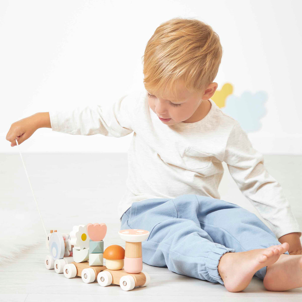Wooden Pull-Along Train by Janod | Cotton Planet