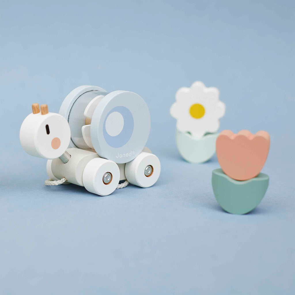 Wooden Pull-Along Train by Janod | Cotton Planet